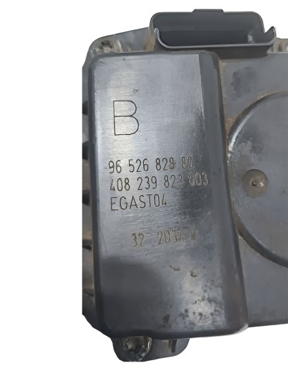 Tbi Corpo de Borboleta Picasso 2.0 16v 2005 2006