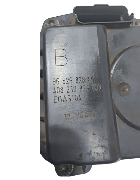 Tbi Corpo de Borboleta Picasso 2.0 16v 2005 2006