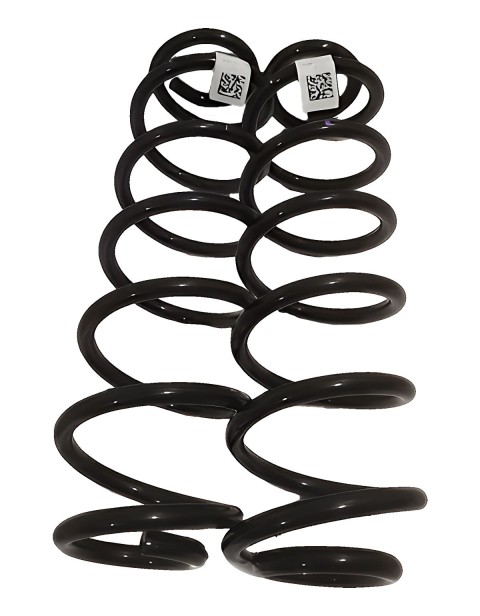 Par Molas Suspensão Traseiras Vw Golf Jetta Taos 5QM511121S/Q